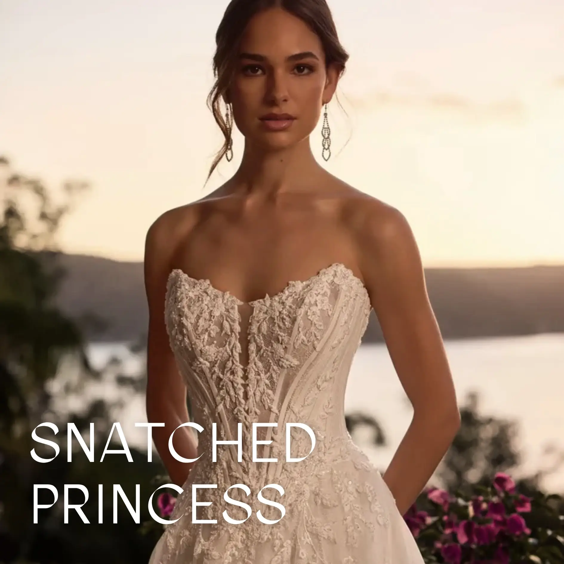 Snatched Princess